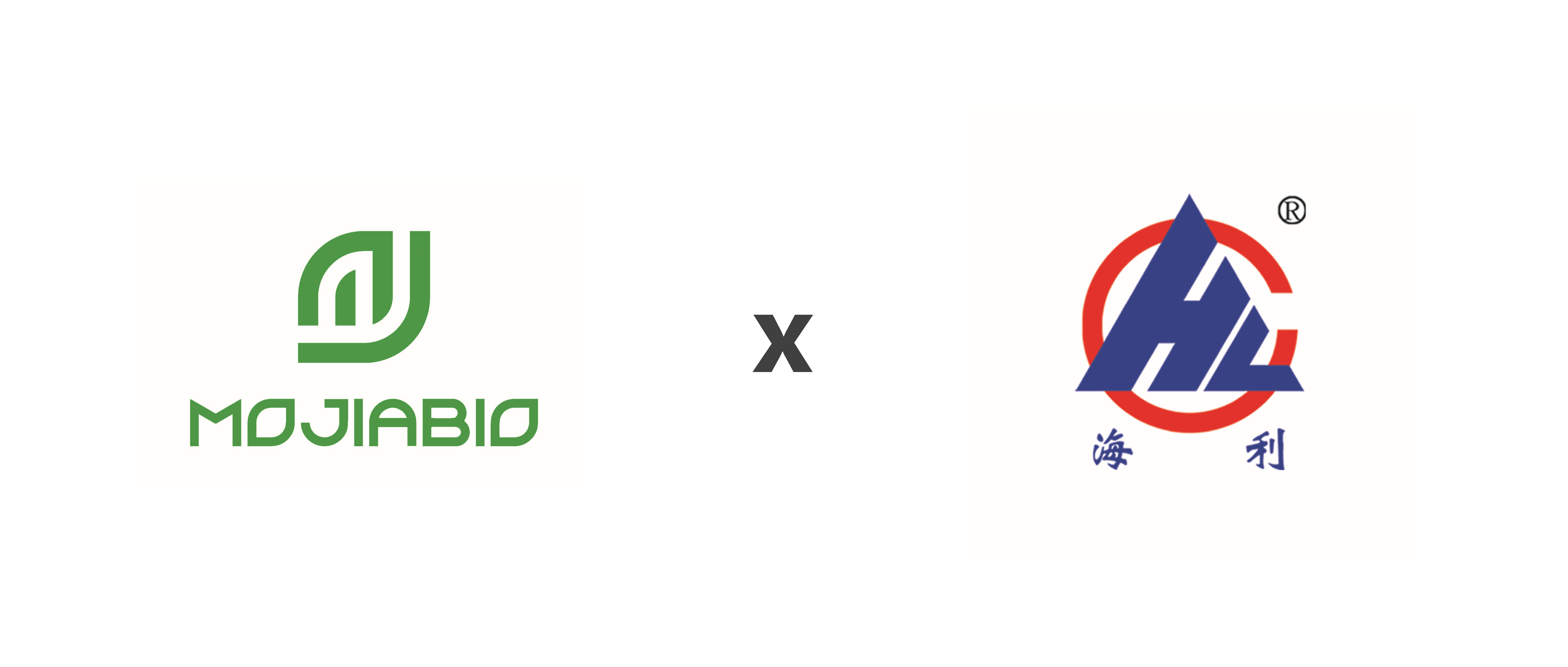 ̫������2007��վ(�й�)���޹�˾����